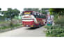 create bus promo and logo animation videos